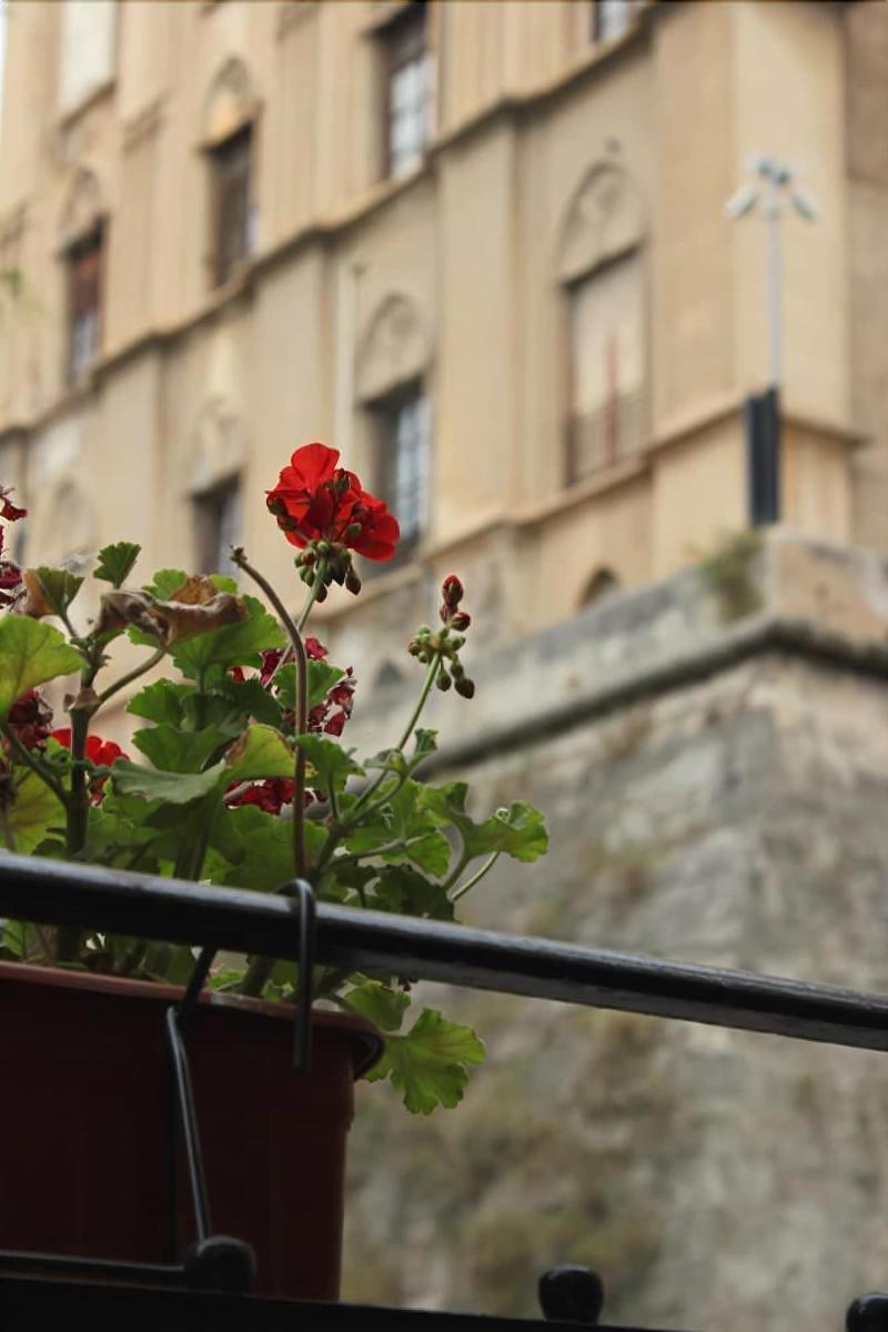 B&B "Al Bastione Normanno Palermo Zewnętrze zdjęcie